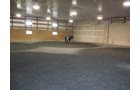 Property photo 85 - 80 Acres Offered in 4 Tracts - Horse Farm